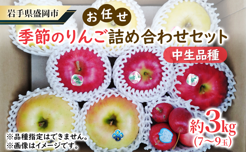
                  <先行予約>  りんご 詰め合わせ 3kg 中生 品種 おまかせ りんご リンゴ 林檎 果物 くだもの フルーツ りんご リンゴ 林檎 りんご 産地直送 農家直送 新鮮 旬 国産 冬 セット おすそわけ プレゼント おやつ スイーツ デザート 岩手県 盛岡市 東北 岩手 盛岡 大櫻農園 ozakura003
                