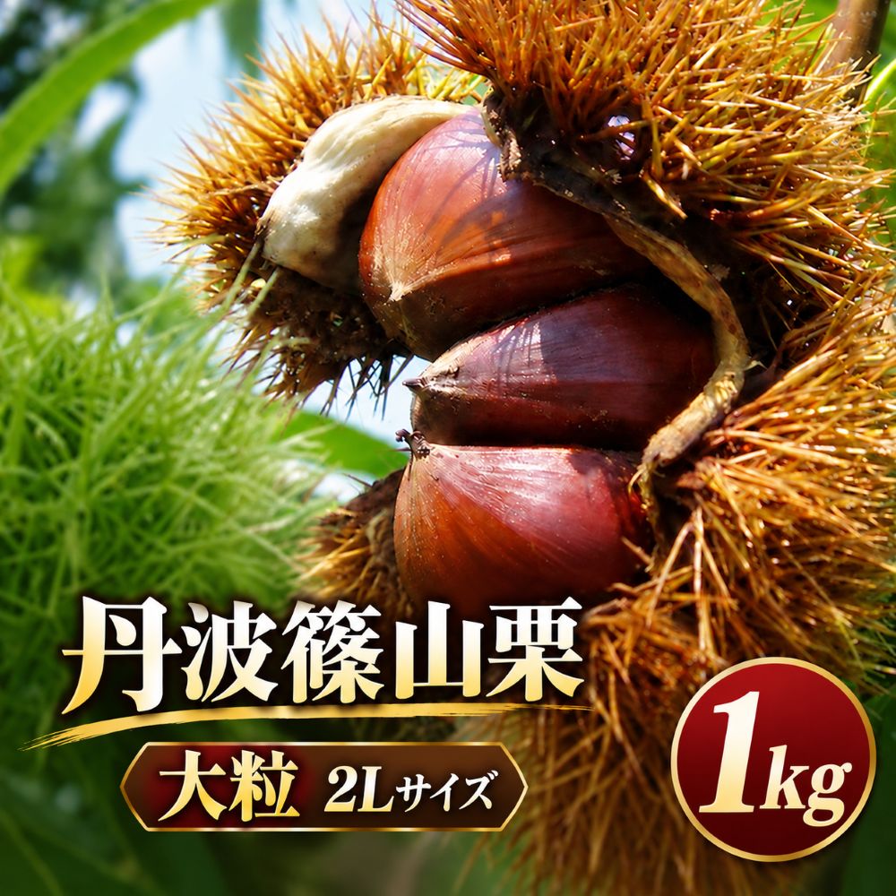 【ふるさと納税】令和8年産 丹波篠山栗 大粒 2L 1kg ネット入り 丹波栗 兵庫県 丹波篠山市 プレミアム栗 期間限定 お取り寄せグルメ 高級 特産品 名産品 マロン