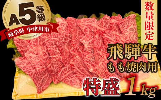 【数量限定！チルド（冷蔵）発送！】「飛騨牛」A5等級もも 1kg 鉄板焼き 網焼き 焼肉 バーベキュー BBQ F4N-1249