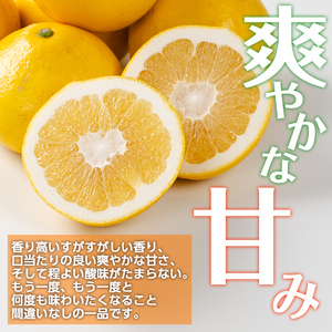 i917 ＜2026年3月上旬～5月下旬の間に発送予定＞＜訳あり＞サワーポメロ(約10kg) 柑橘 サワーポメロ 鹿児島県 国産 果物 フルーツ みかん 文旦 ボンタン 訳あり 【江崎果樹園】