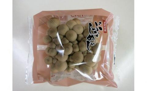 KL-2 歯ごたえ抜群!ブナシメジ