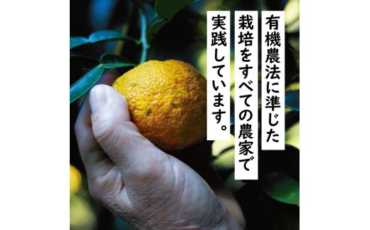 ゆず入りはちみつ /220g×6本  ゆず 蜂蜜 柚子 はちみつ 有機 オーガニック 選べる本数 ギフト お中元 お歳暮 母の日 父の日 贈答用 のし 熨斗 産地直送 送料無料 高知県 馬路村【643