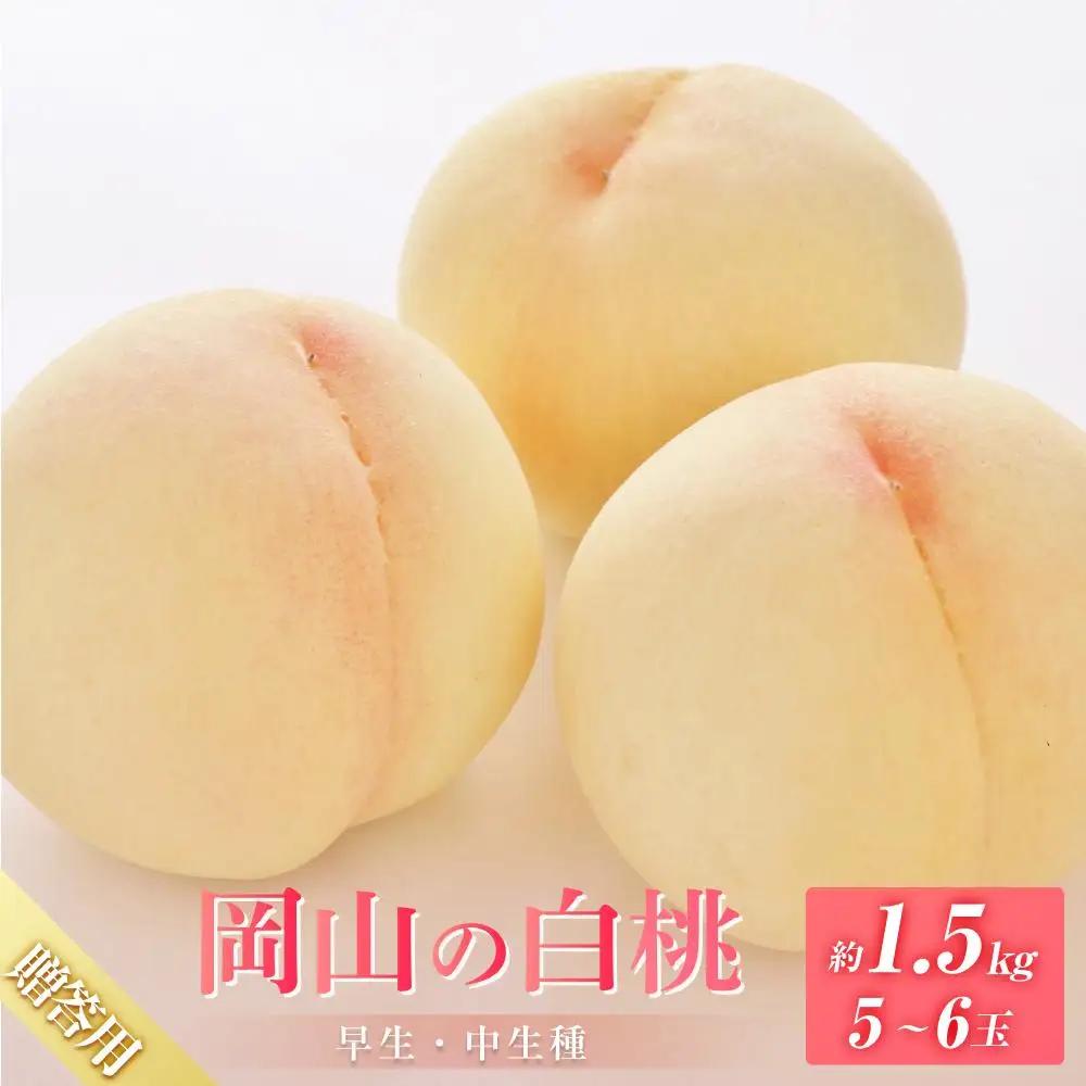 桃 2027年 6月下旬から発送 贈答用 岡山の 白桃（早生、中生種）約1.5kg 5～6玉 もも モモ フルーツ 果物 岡山市 一宮地区産 国産 赤木農園