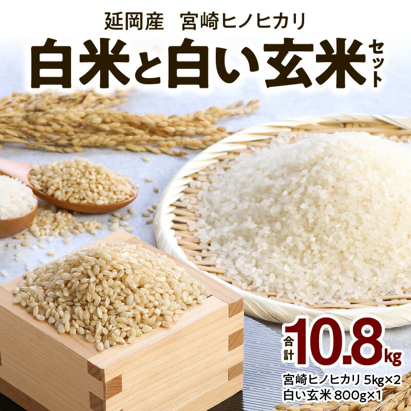 【ふるさと納税】宮崎ヒノヒカリ 延岡産 白米 5kg × 2袋 白い玄米 800g × 1袋 セット 計 10.8kg ふっくら 美味しい ツヤ 粘り 香り ヒノヒカリ 人気 ブランド米 精米 玄米 米 お米 ご飯 白飯 弁当 おにぎり おむすび 国産 食品 お取り寄せ グルメ 宮崎県 延岡市 送料無料