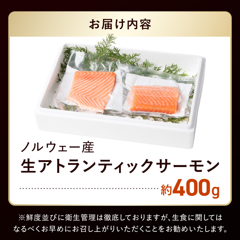 いっちゃんええ【ノンフローズン】生サーモン 全て手作業 約400g_FJ1000_イメージ4