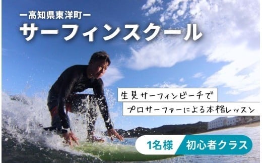 LS002-1 サーフィンスクール 初心者スクール体験クラス【L'ami Surfing School Official】