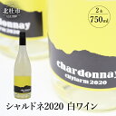 【ふるさと納税】ワイン 白ワイン シャルドネ2020 750ml×2本セット 白州産 シャルドネ種100% 送料無料