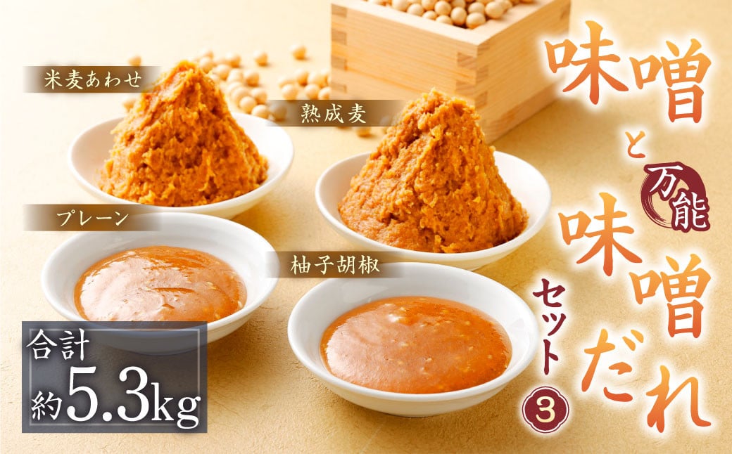 味噌と万能味噌だれセット(3) 5360g まぼろしの味噌 みそ 合わせ みそだれ 熊本県 特産品