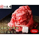 【ふるさと納税】飛騨牛5等級　切り落とし用途いろいろ　500g【配送不可地域：離島・北海道・沖縄県】【1034745】