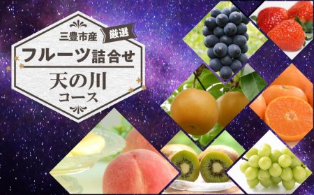 三豊市産の厳選フルーツ詰合せ♪【天の川コース】【配送不可地域：北海道・沖縄県・離島】_M102-0026