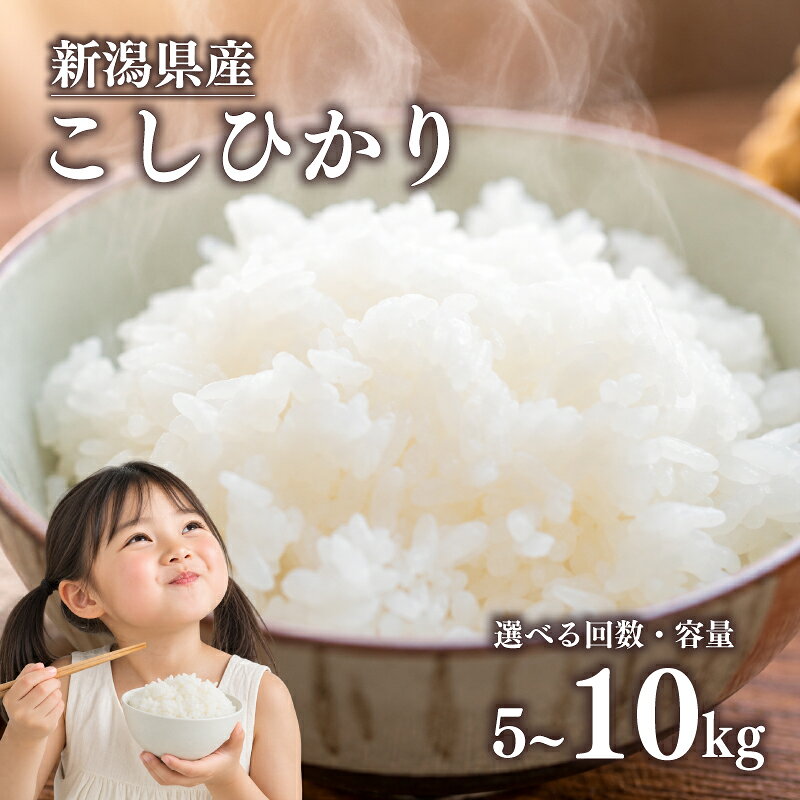 【ふるさと納税】 新米 新潟県産 コシヒカリ 単品 定期便 選べる容量 回数 5kg 10kg 3回 6回 新米 米 こめ コメ こめ こしひかり 新潟県産 新潟 令和8年産 米 白米 こめ ごはん おにぎり お弁当 農家直送 産地直送 ふるさと納税 四代目 悠助 新潟 新潟県 新発田市 kwsKK001P