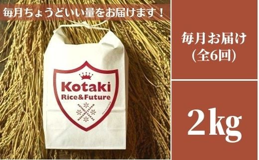 
令和6年産先行予約・毎月ちょうどいい量をお届けます!希少米コタキホワイト2kg毎月お届け(6回)（令和6年産）
