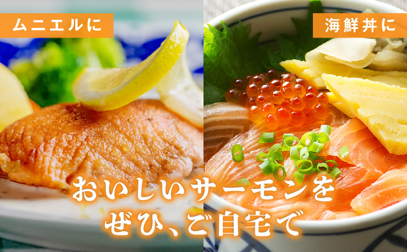 タスマニアサーモン 1kg【アトランティクサーモン 真空パック 小分け ブロック 訳あり サイズ不揃い 上質 刺身 海鮮丼 サラダ 冷凍 物価高応援】 G1865