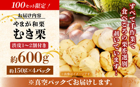 【先行予約】 【風味豊か♪ちょっと渋皮つき】やまが和栗 大粒むき栗 渋皮つき 約800g（約200g×4pc）小分け【古川農園】[ZES002]