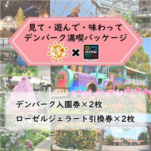 デンパーク入園券2枚+ローゼルジェラート引換券2枚/愛知県安城市【1686737】