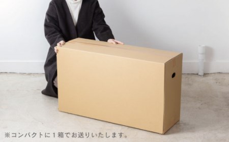 段ボール製おもちゃ 木馬「ダンバ」[OAN001] おもちゃ遊具
