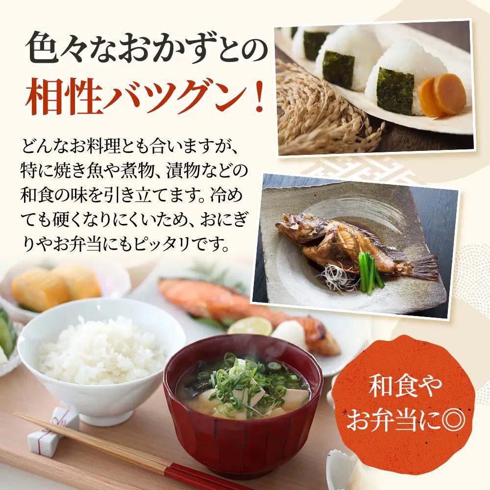 コシヒカリ 新米 令和8年産 5㎏ 6回 定期便 コシヒカリ