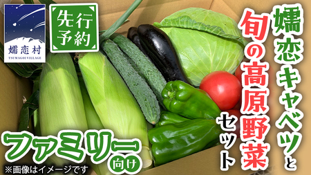 【 8月下旬発送開始】 嬬恋 キャベツ と旬の 高原 野菜 セット 4人様 ファミリー向け きゃべつ 群馬 419 嬬恋キャベツ 産地直送 詰め合わせ アソート [AK002tu]