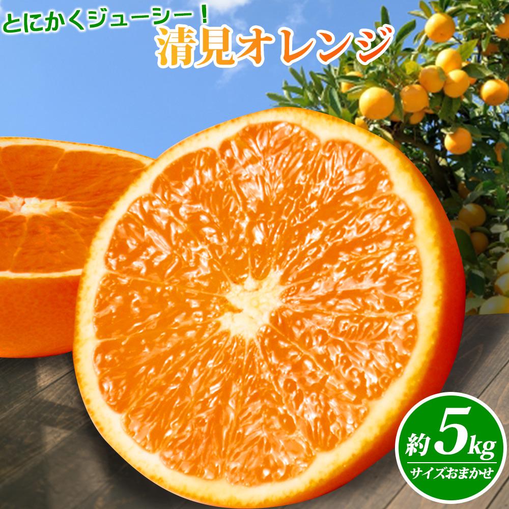【ふるさと納税】とにかくジューシー清見オレンジ　5kg［2026年3月下旬以降発送］［先行予約］［UT53w］ | みかん オレンジ 和歌山 清見 きよみ 5kg ジューシー 柑橘 フルーツ 果物 蜜柑 ふるさと納税 返礼品 故郷納税