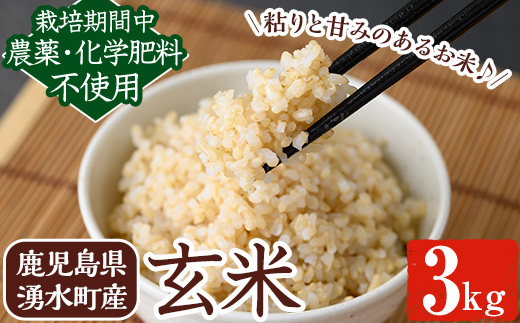 y174 《栽培期間中農薬化学肥料不使用》 鹿児島県産 ヒノヒカリ 玄米(3kg) 国産 九州産 鹿児島県産 湧水町産 ひのひかり お米 おこめ オコメ 米 こめ コメ 玄米 ご飯 ごはん 3kg 化