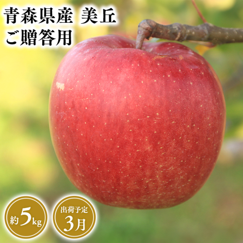2025年産３月発送　贈答用美丘5ｋｇ　【そと川りんご園・３月・青森県産・平川市・りんご・美丘・5ｋｇ・贈答用】