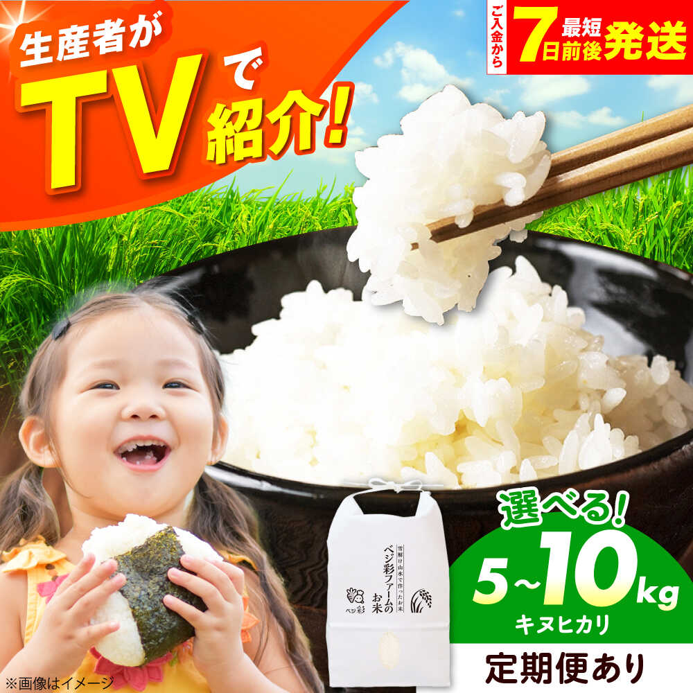 【ふるさと納税】【選べる容量＆定期便】令和7年産 キヌヒカリ 5キロ 10キロ きぬひかり 米 お米 ブランド米 ライス コメ 人気 おこめ ごはん ご飯 ゴハン もちもち 国産米 国産 おすすめ 精米 白米 5kg 10kg 定期便 大阪府高槻市/ベジ彩ファーム[AOEJ009]