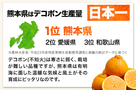 デコポン 訳あり デコポン 約 5kg 前後(約12-24玉前後) 糖度13度以上 みかん 生産量日本一 個別光センサー選果 熊本県産 (荒尾市産含む) 柑橘 フルーツ 旬 不知火 でこぽん デコポン