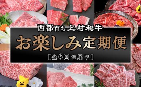 【カミチク　上村和牛】お楽しみ年６回定期便（焼肉　ステーキ　スライス　ブロック　切落し　希少部位）＜9-1＞