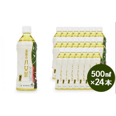 ふるさと納税 八女市 【産地直送】福岡の八女茶 煎茶ペットボトル(500ml×24本) |  | 03