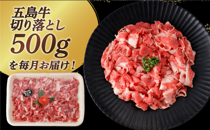 【全6回定期便】【幻の和牛を様々なお料理で！】 五島牛 切り落とし 約500g 3～4人前 肉 牛肉 【カミティバリュー】 [RBP077]