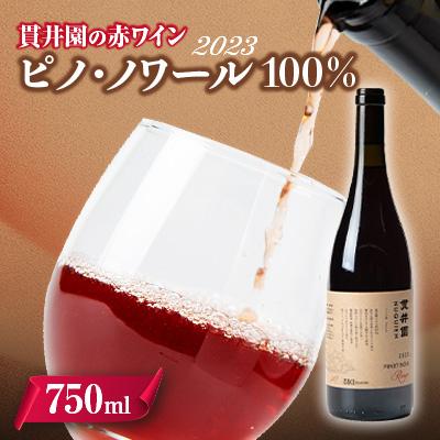 ふるさと納税 入間市 2023 赤ワイン　ピノ・ノワール100%　1本　貫井園のワイン