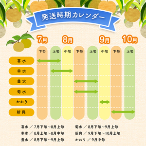西江豊水園の菊水梨 約3kg ( 8個前後 ) | フルーツ 果物 くだもの 果実 数量限定 旬 完熟梨 梨 なし ナシ 菊水 菊水梨 和梨 3kg 3キロ 新鮮 産地直送 大分県産 九州産 国産 大