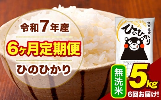 令和7年産 【6ヶ月定期便】  無洗米 米 ひのひかり 5kg《お申込月の翌月から出荷開始》熊本県 大津町 国産 熊本県産 無洗米 送料無料 ヒノヒカリ こめ お米