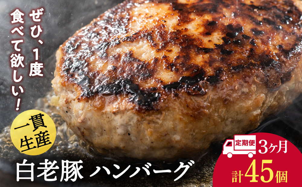【定期便 3カ月】 北海道産 白老豚 ハンバーグ 120ｇ×15個 セット 冷凍 洋食 おかず BV034_イメージ1