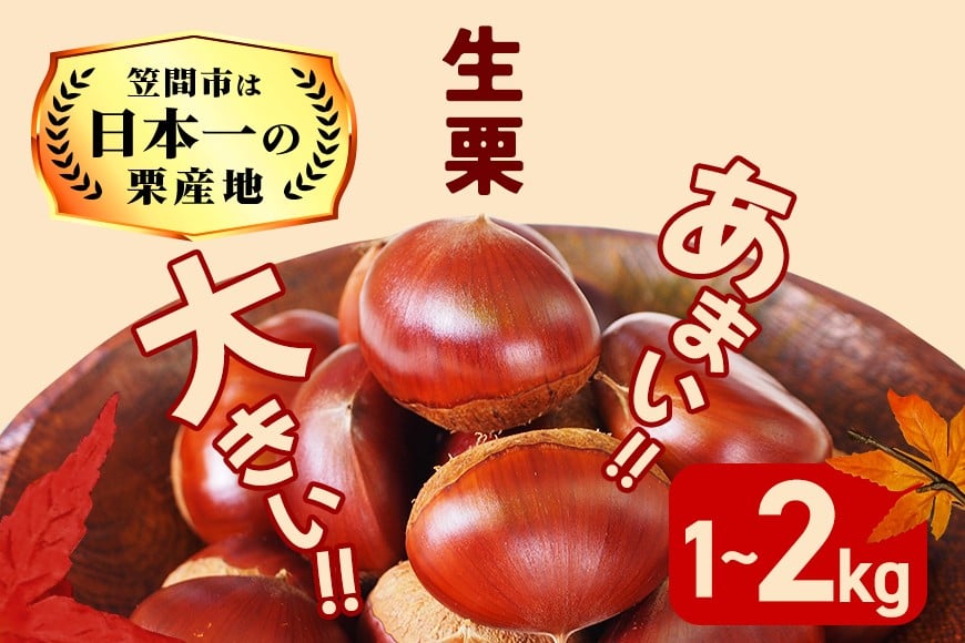 
            【2025年 秋 出荷】生栗 選べる内容量 1kg×1～2袋 1kg～2kg 特大 サイズ 3L 以上 大粒 大きい 数量限定くり クリ 笠間の栗 栗ごはん カサマロン 国産  先行予約 モンブラン 栗きんとん 冷蔵 笠間市
          