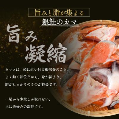 ふるさと納税 若狭町 塩銀鮭カマ【端材、訳あり】2Kg |  | 01