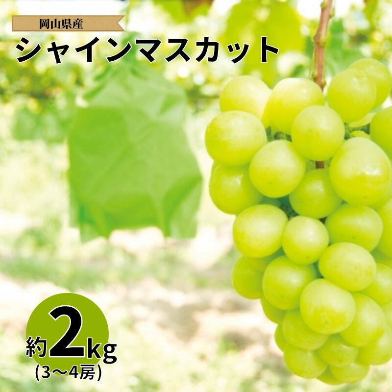 【ふるさと納税】 山田ぶどう園 シャインマスカット 約2kg 3〜4房 【先行予約 9月下旬から順次発送】