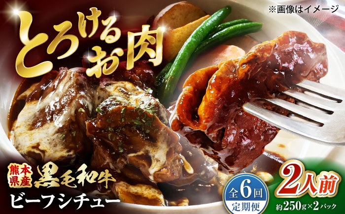 
                  【全6回定期便】 熊本県産 くまもと黒毛和牛 こだわりのビーフシチュー 計2パック （約250g×2パック） ビーフシチュー ビーフ シチュー 牛肉 肉 【有限会社スイートサプライなかぞの】 [ZBV109]
                