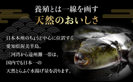 天然とらふぐ皮湯引きセット 自家製ポン酢 薬味付き 伊良湖天然とらふぐ フグ 天然ふぐ 愛知県 田原市 10000円
