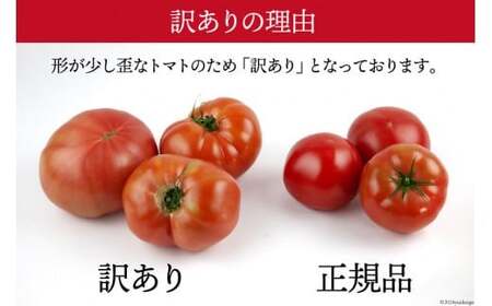 【2026年10月下旬-12月下旬発送予定】 秋作 訳あり 桃太郎トマト 1kg [ヨダファーム]