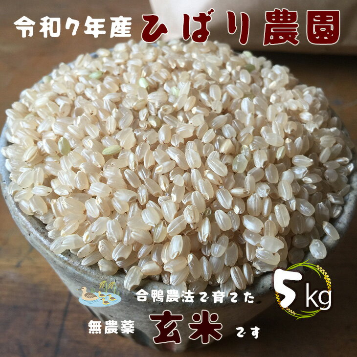 【ふるさと納税】無農薬 お米 合鴨農法で育てたひばり農園 令和7年産 玄米 5kg りくう132号