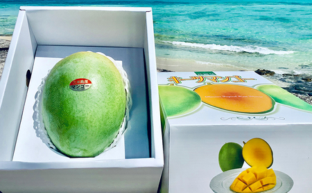 【2024年発送】久米島印商店 久米島産キーツマンゴー 約1kg