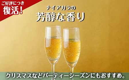 期間限定 セコマ ナイアガラソーダ 500ml 24本 1ケース 北海道 千歳製造 飲料 炭酸 ペットボトル ナイアガラ ぶどう 微炭酸 セイコーマート 千歳 北海道 北海道ふるさと納税 北海道千歳市