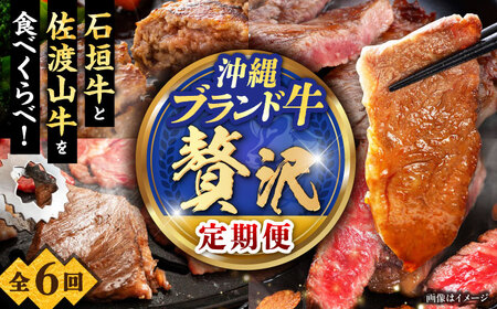 【全6回定期便】沖縄ブランド牛を堪能！贅沢お肉定期便【沖縄市】牛肉 和牛 サーロインステーキ 焼肉 赤身 沖縄市 / 肉のサブロー / お肉屋本店[BCZZ028]