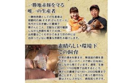  一勝地赤豚 とんかつ用 3枚（約450g） FKP9-496