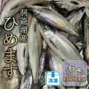 【ふるさと納税】洞爺湖産ひめます6尾(約800g前後)冷凍　洞爺湖町