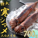 【ふるさと納税】【寒シマメ 特大サイズ 丸ごと2杯セット】700g〜800g いか イカ スルメイカ 朝どれ寒シマメ 父の日 母の日 バーベキュー ギフト