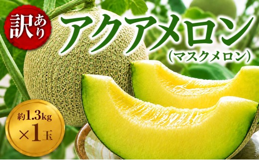 メロン 訳あり 通年発送 アクアメロン 約1.3kg × 1玉 メロン めろん meron マスクメロン ますくめろん 果物 くだもの フルーツ ふるーつ サイズ 大玉 甘い 温室 温室メロン ジューシー 果肉 デザート おやつ 高糖度 アールスメロン 戸田メロン 千葉 東金