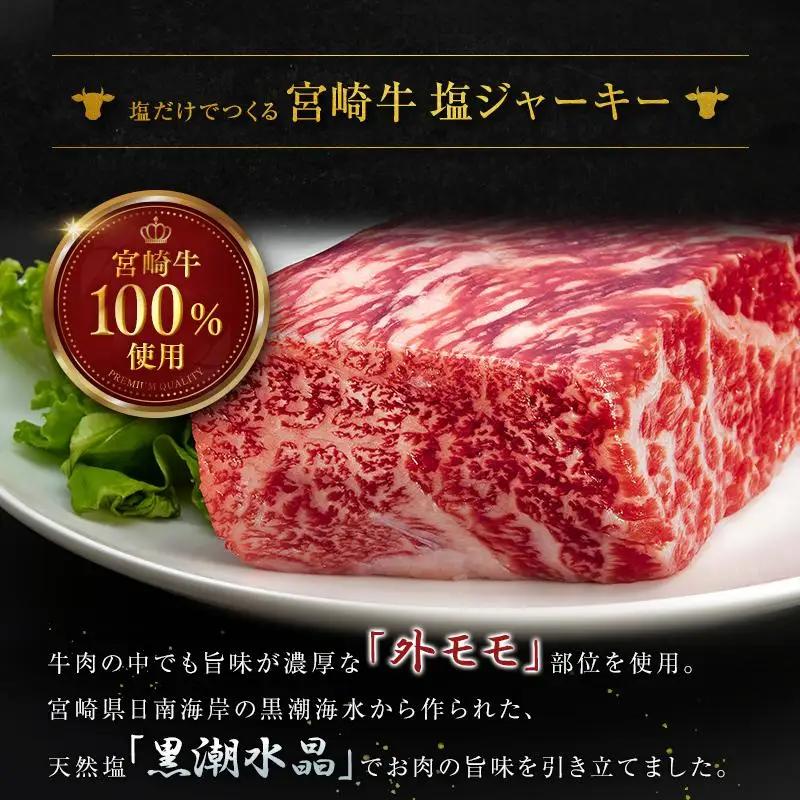 塩だけでつくる 宮崎牛 塩ジャーキー 5袋（20g×5袋）ブランド牛 ビーフジャーキー おつまみ 珍味 グルメ 干し肉 宮崎県産