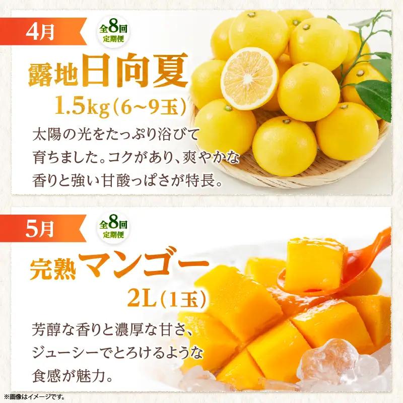 【全8回お届け】宮崎県綾町産 果物・野菜定期便 [X20]_A0113-0011